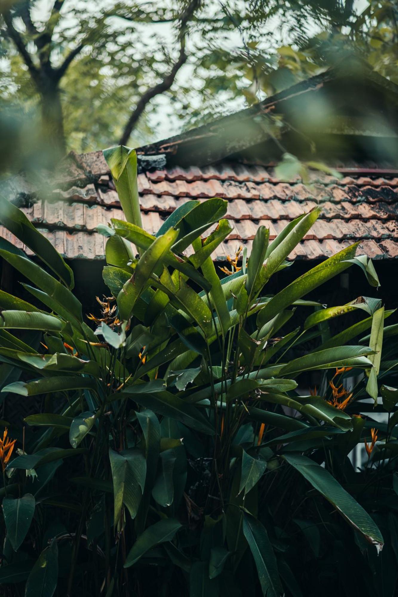 Paddlecult Surf Retreat Bed & Breakfast Varkala Bagian luar foto