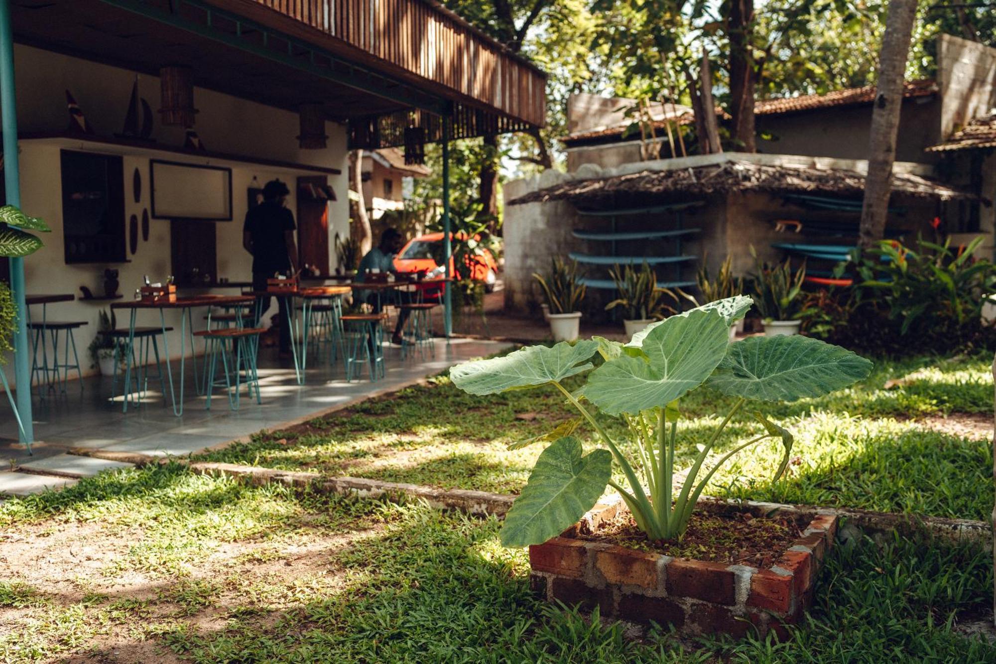 Paddlecult Surf Retreat Bed & Breakfast Varkala Bagian luar foto