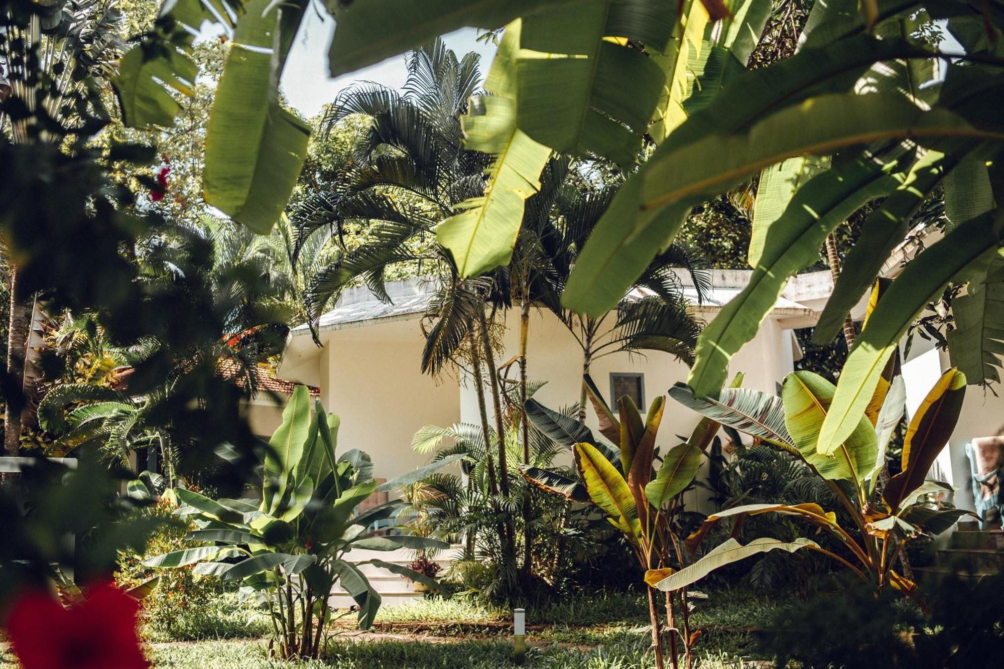 Paddlecult Surf Retreat Bed & Breakfast Varkala Bagian luar foto