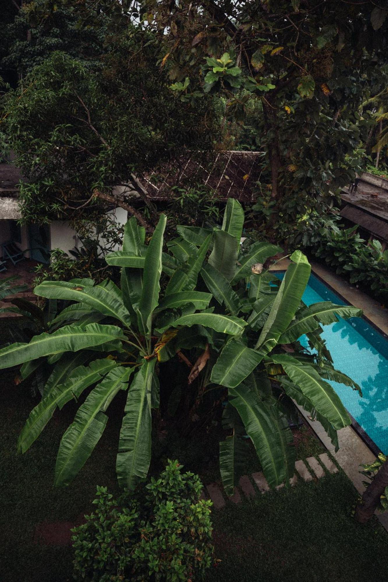 Paddlecult Surf Retreat Bed & Breakfast Varkala Bagian luar foto